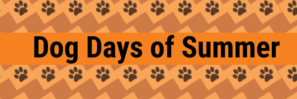 Dog Days Header